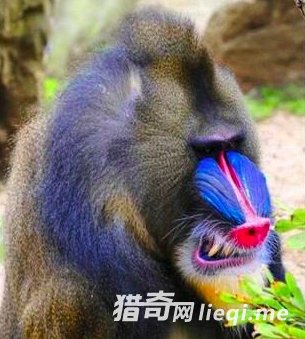 ʮ���������ֽ��䷽ʽ����Բ���ڽ���ʱ����(1)