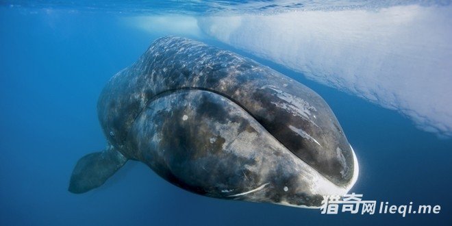 �����ʮ��������Ķ�����ڹ�����ڵ���(1)