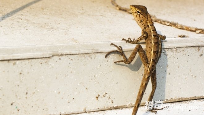 �����ʮ��������Ķ�����ڹ�����ڵ���(1)