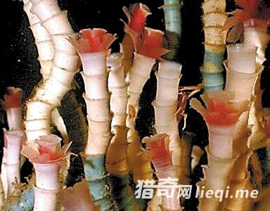 �����ʮ��������Ķ�����ڹ�����ڵ���(2)