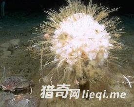 �����ʮ��������Ķ�����ڹ�����ڵ���(4)