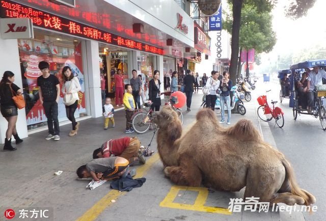 ְҵ��ؤ��н���򣿿����������߹��е���������(1)