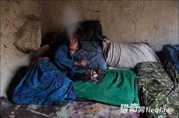 ����ĸ�ĸΪʹ���Ӱ�������ι����ѻƬ��(2)