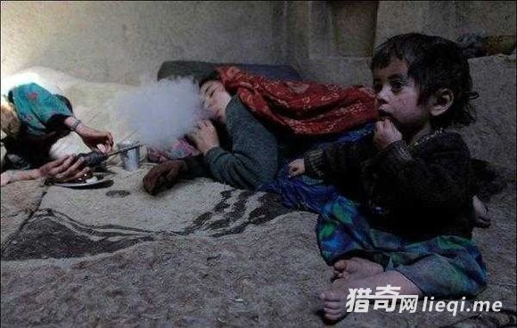 ����ĸ�ĸΪʹ���Ӱ�������ι����ѻƬ��(1)