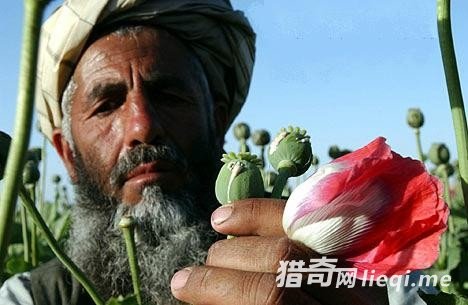 ����ĸ�ĸΪʹ���Ӱ�������ι����ѻƬ��(3)