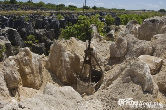 ��Ϊȫ���ԣ�Ĺ���֮һ�������ź���״�����Ǵ���ٹ���Ǩ(1)