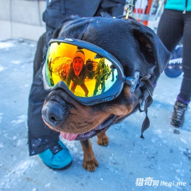 �����������������Ĺ��������������磬���ģ��Ͷ�����ˣ(4)