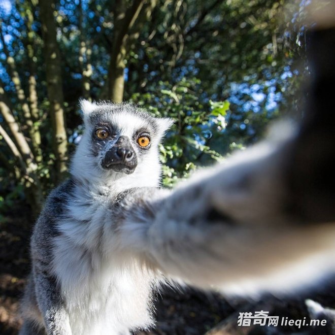 �����������������Ĺ��������������磬���ģ��Ͷ�����ˣ(2)