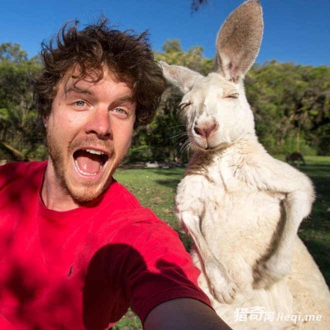 �����������������Ĺ��������������磬���ģ��Ͷ�����ˣ(2)