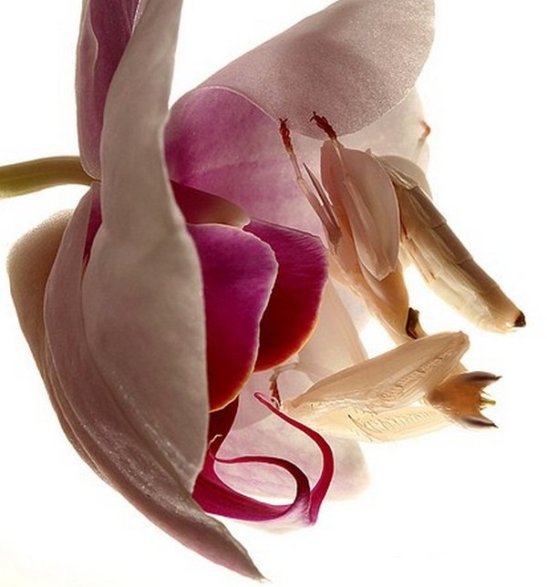 ��Ȼ���е����ظ��֣��������ҳ�������(5)