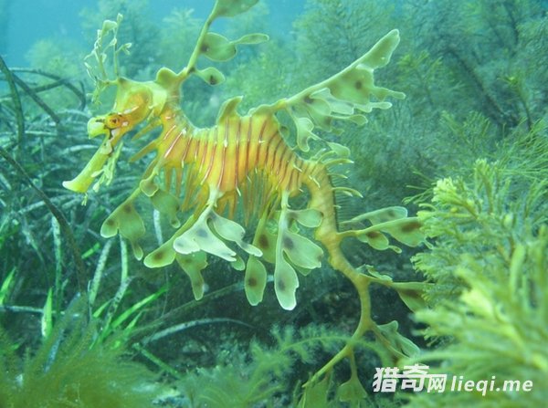 ��Ȼ���е����ظ��֣��������ҳ�������(4)