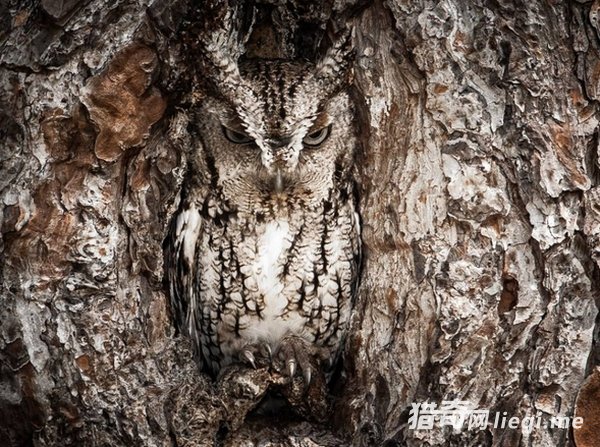 ��Ȼ���е����ظ��֣��������ҳ�������(3)