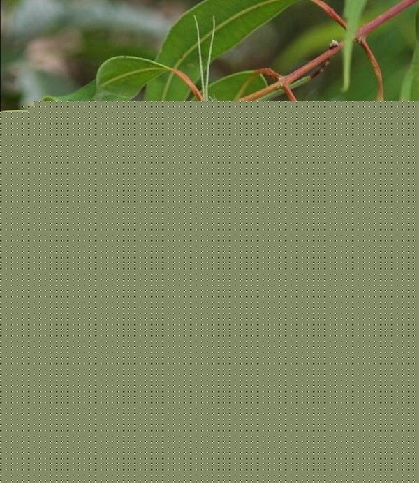 ��Ȼ���е����ظ��֣��������ҳ�������(2)