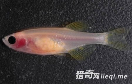 �̵�ȫ��ʮ��͸������(1)