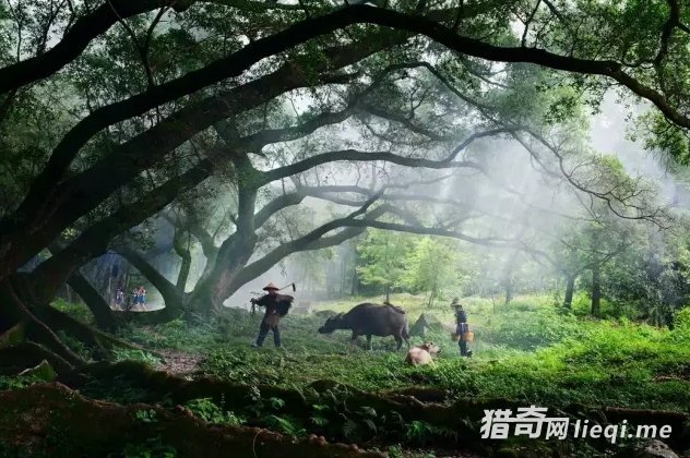 ���η����й�������̲Ϳ���⾰ɫ���ˣ��о������˼��ɾ�(4)