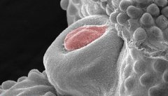 ���أ�Ϊ��������97%��������ȫȱ������