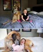 ���ﱣķ������Խ����İ�