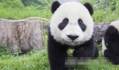 ������èߣ�ܣ���ȫ��������ѧְҵ