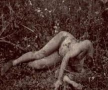 ��С���룡̽�ؿ���������ͷ��ʬ��