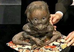 ��ͯ���������˿־����������