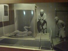 �վ���Ů�Խ��ֲ�����Ⱦ����