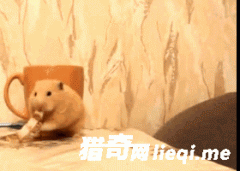 �����̿������Ķ����Ի�