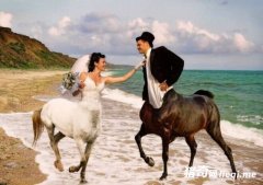 һ������������Ϯ��