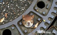 �̵������̰�Ա����Ķ���