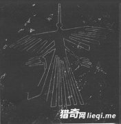 ̽��Զ������ʮ��δ��֮��