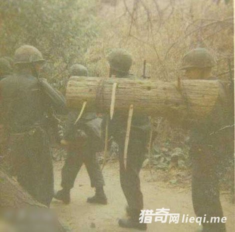 Խսʱ�Ŀֲ����壺ר�Ը�����