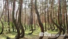 ȫ�����δ��֮�գ��й���}��