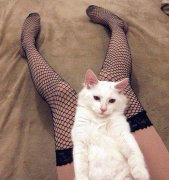 ���λ������������Ľ����