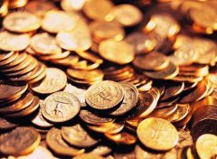 �����ֽ������ɷ��޻����� �������������