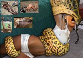 �𾪣��������췢������Ϯ����ʳһ��Ů