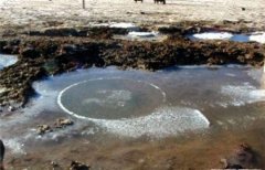 ����ȫ����Ϊ����Ī���ʮ���ط���ǧ���ȥð�գ�