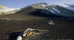 �����߽�����ɽ�����Ϲű���Ĺ��£�