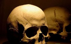 ����������ţ�����ͷ­������ʶ