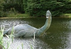 ��˹��ˮ������ �ҿ�����˾���