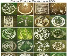 ����������ڣ��ߴ�֤���ع�