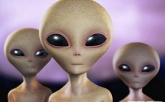 ��ǰ���ٺ�������������ȷʵ�������˻���