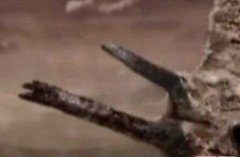 �������������ַ �������������ܽ���