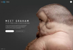 ��˵������Ҫ���������Ű�ȫ