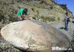 ���ӷ���һ�޵�״��ʯͷ�����������ַ���