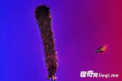 ����ԭ��������!