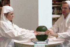 ��Ƥ�������Ͼ��������