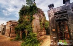 ̽�أ������������ɭ��㤵���ĹѨ