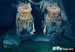 ��˯����!��ѧ�ҳ�̩̹̽��˵Ĺ������