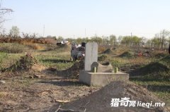 �����ε�����ҪǨ�� ���׺��ʧɫ