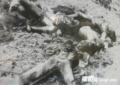 ���̵ĺ�ɫ������ɱ ��Ů����Ͳ�����