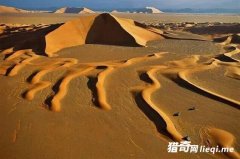 ���������ȵİ˸��ط�������ɽֻ���ŵ�����λ